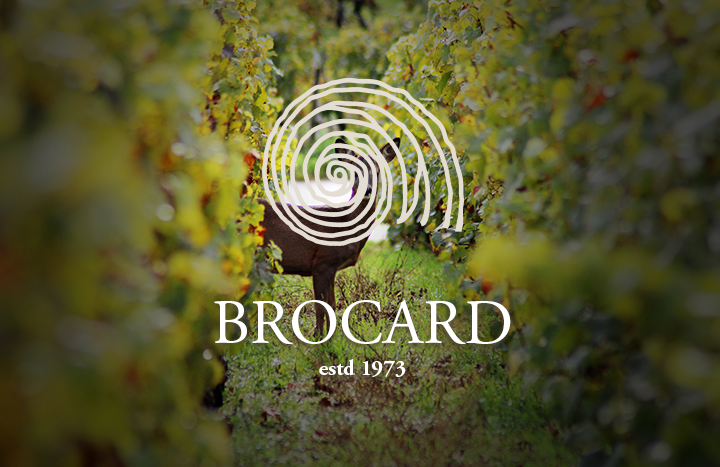 Maison Brocard ; support digital | Thibaud Lenthéric